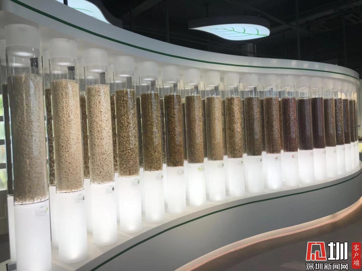 而今邁步從頭越！國家藥監局兩重點實驗室落戶深圳，醫藥科技迎來新機遇